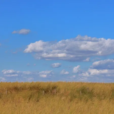 In Katwijk Near The * Katwijk aan Zee
