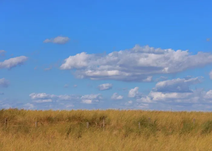 In Katwijk Near The * 카트베이크안제이